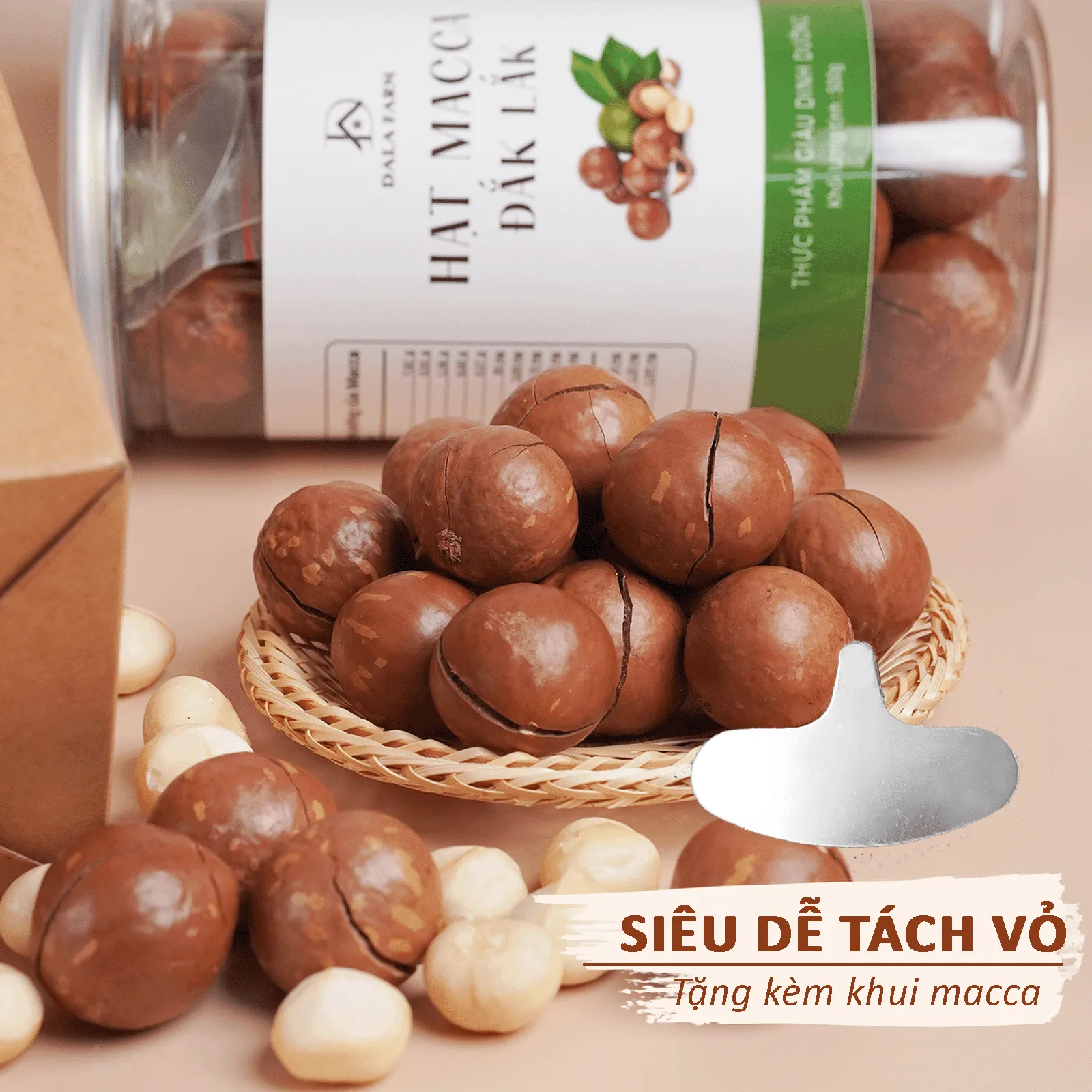 [Size Trung] Hạt Macca Nứt Vỏ DALA DL0001