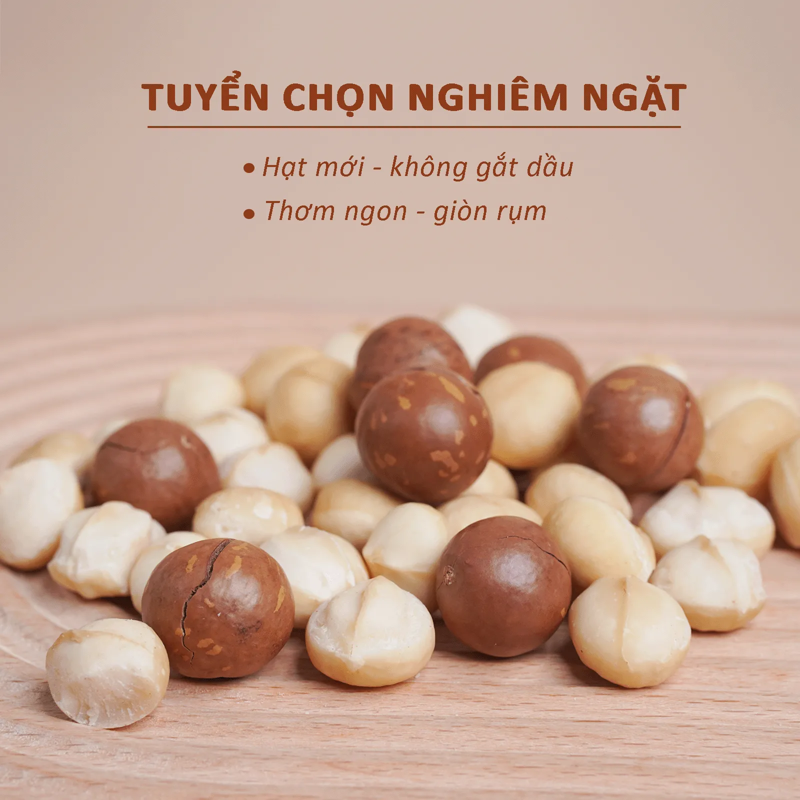 [Size Trung] Hạt Macca Nứt Vỏ DALA DL0001