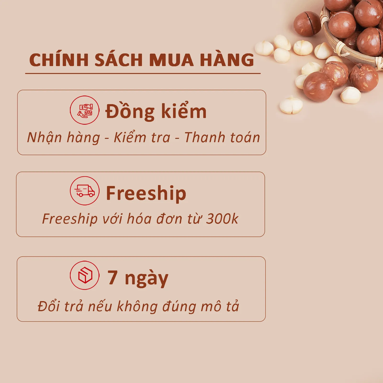 [Size Đại] Hạt Macca Nứt Vỏ DALA DL0002